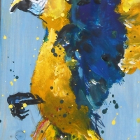 Veugel sjotterie