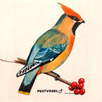Veugel sjotterie