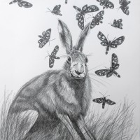 Beegderheide
