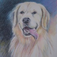 Portret