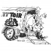 Cartoon Zwart wit