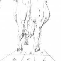 Cartoon Zwart wit