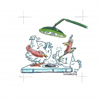 Cartoon kleur