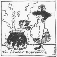 Boerebingo