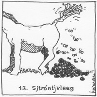 Boerebingo