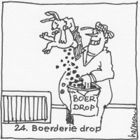Boerebingo