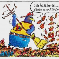 Maasje