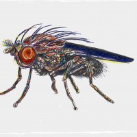Insectenhotel