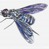 Insectenhotel