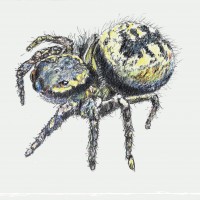 Insectenhotel