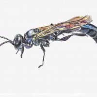 Insectenhotel