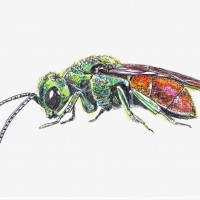 Insectenhotel