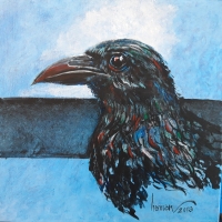 Kraaien