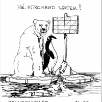 Beer & Pinguin