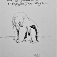 Beer & Pinguin