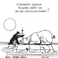 Beer & Pinguin