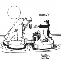 Beer & Pinguin