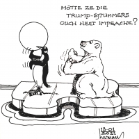 Beer & Pinguin