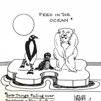 Beer & Pinguin