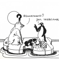 Beer & Pinguin