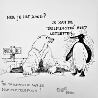 Beer & Pinguin