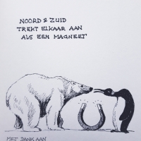 Beer & Pinguin