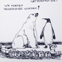 Beer & Pinguin