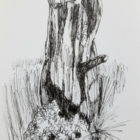 Beegden