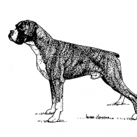Honden