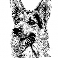 Honden