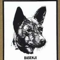 Honden
