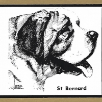 Honden