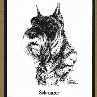 Honden