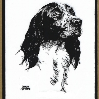 Honden