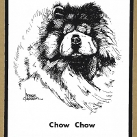 Honden