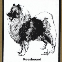 Honden