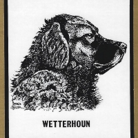 Honden