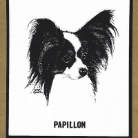 Honden