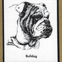 Honden