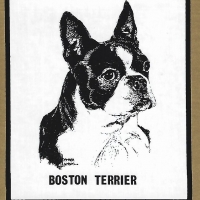 Honden