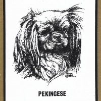 Honden