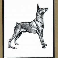 Honden