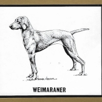 Honden