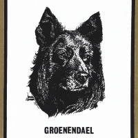 Honden