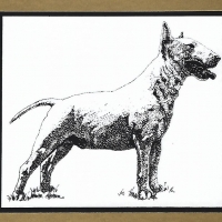 Honden