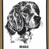 Honden
