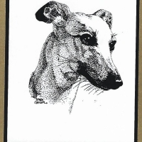 Honden