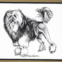 Honden