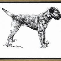 Honden