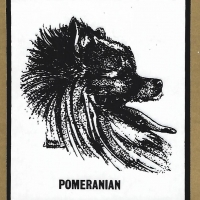 Honden